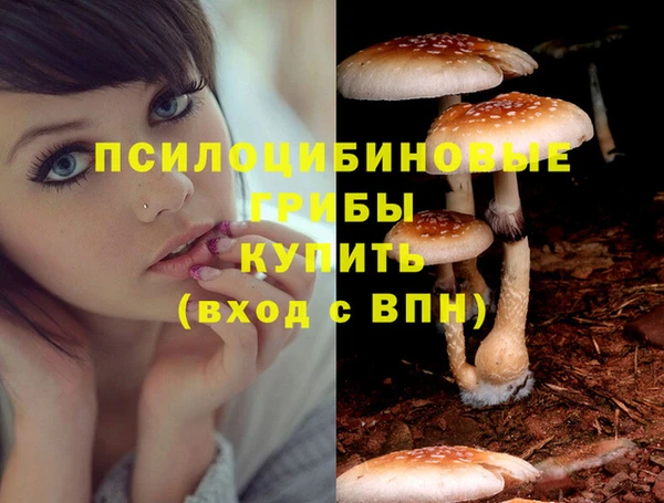 кокс Беломорск