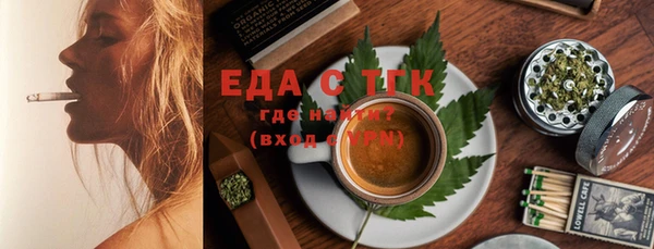 хмурый Аркадак