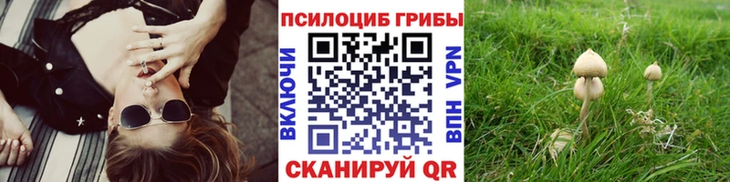 Галлюциногенные грибы GOLDEN TEACHER  Протвино 